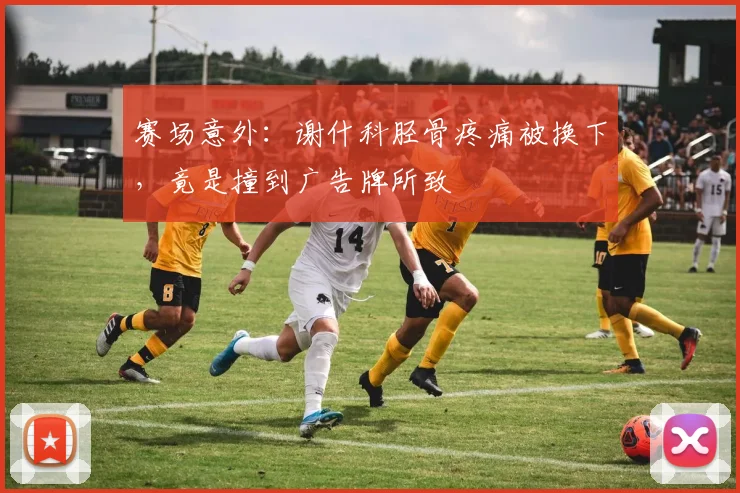 赛场意外:谢什科胫骨疼痛被换下,竟是撞到广告牌所致