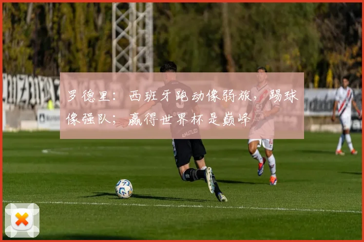 罗德里：西班牙跑动像弱旅，踢球像强队；赢得世界杯是巅峰