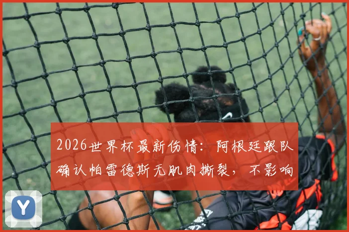 2026世界杯最新伤情:阿根廷跟队确认帕雷德斯无肌肉撕裂,不影响参赛,附详细解析及阵容影响